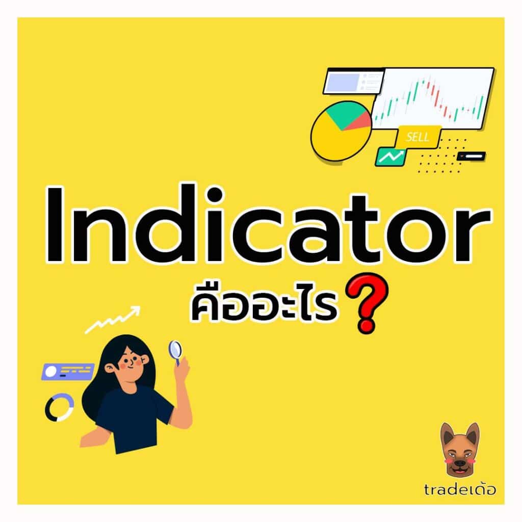 Indicator คืออะไร และมีประโยชน์อย่างไร? Indicator คืออะไร และมีประโยชน์อย่างไร?