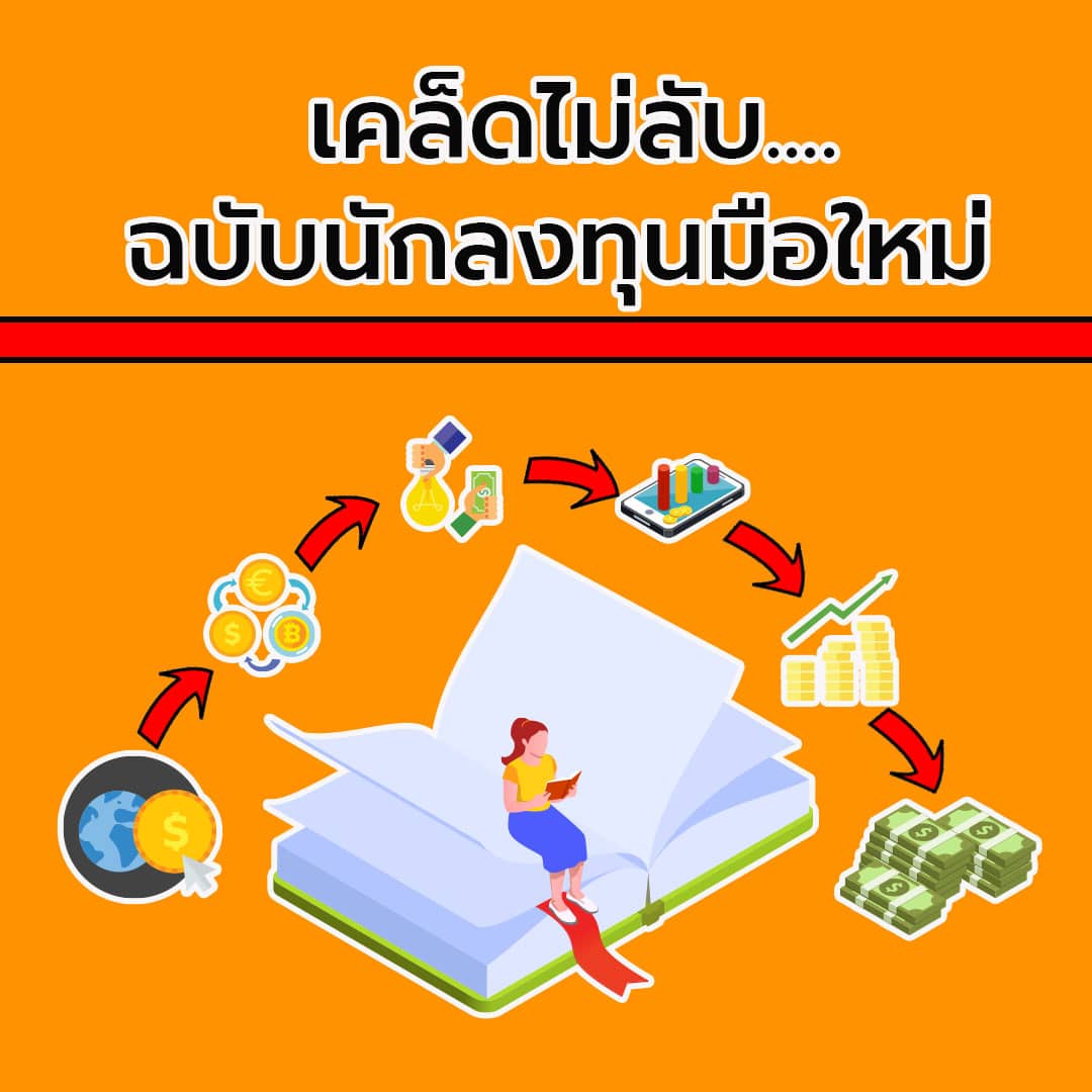 เทคนิคการลงทุน