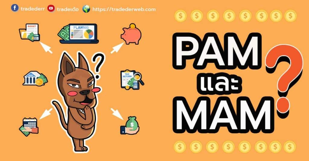 PAMM MAM คืออะไร PAMM MAM คืออะไร
