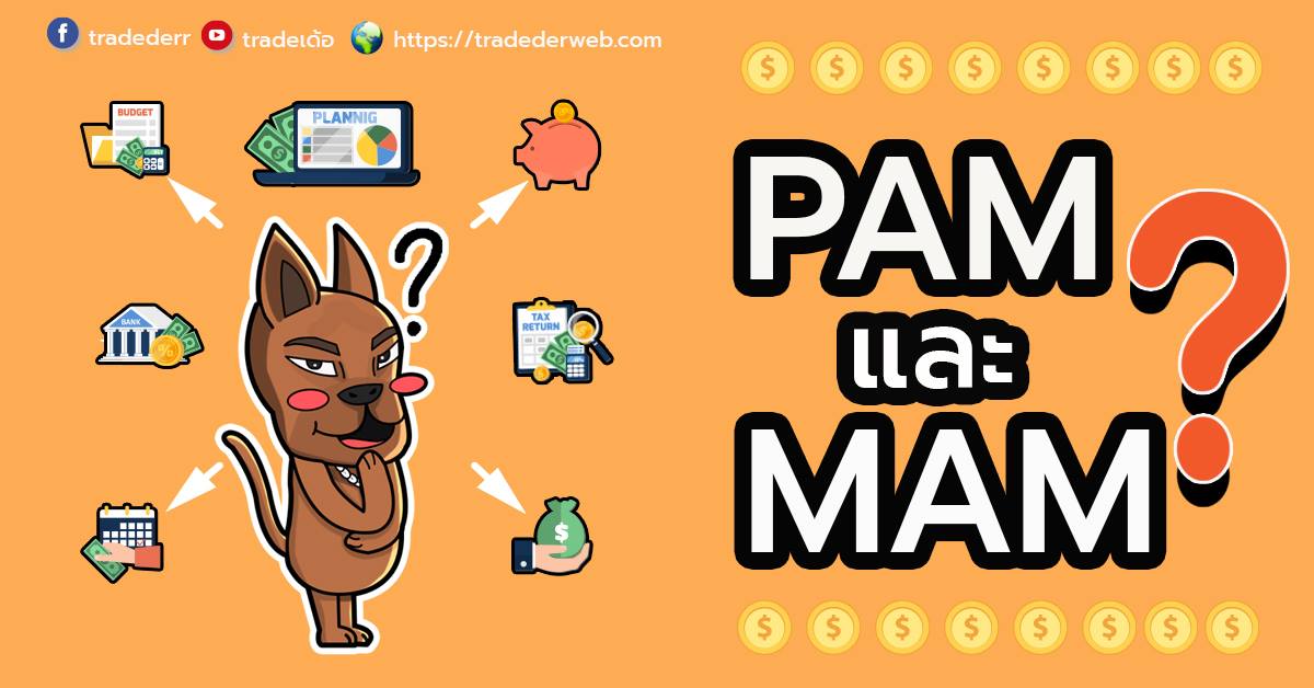 PAMM MAM คืออะไร