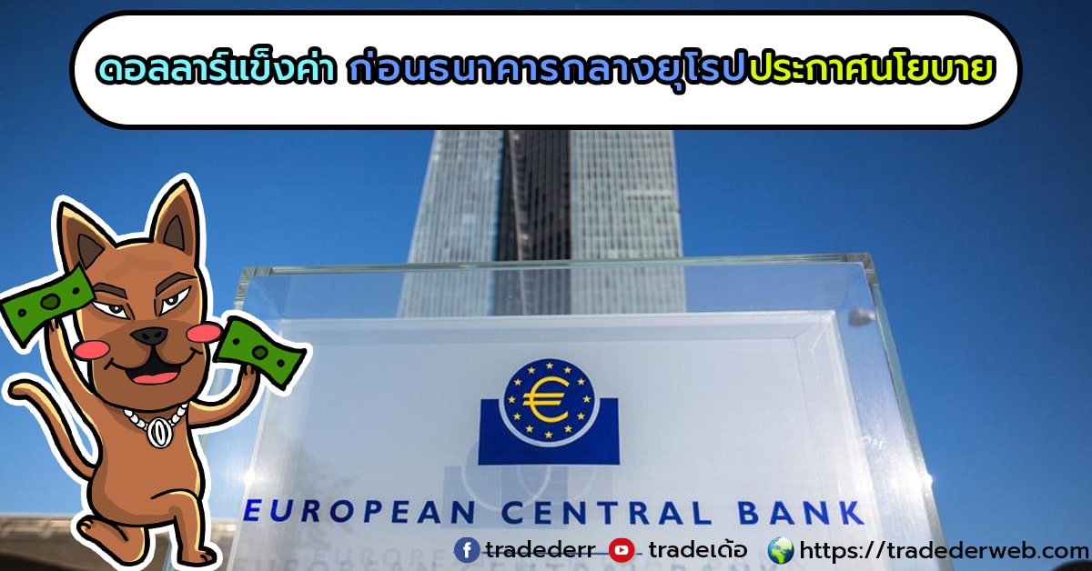 usa-strong-ecb-web