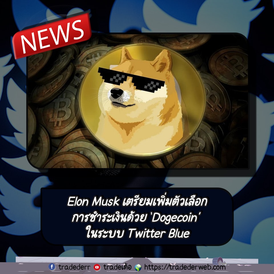 Elon Musk เตรียมเพิ่มตัวเลือกการชำระเงินด้วย Dogecoin ในระบบ Twitter Blue