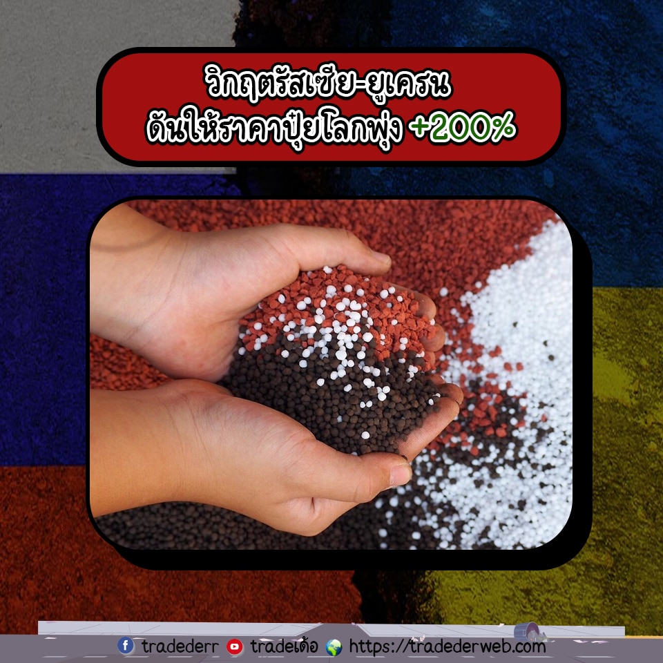 templateข่าว4 ข่าว