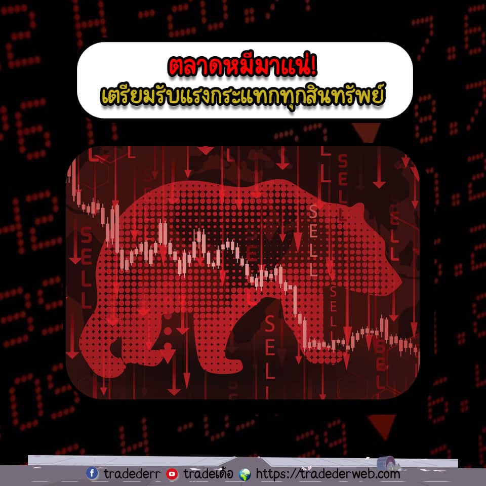 ตลาดหมี bear market