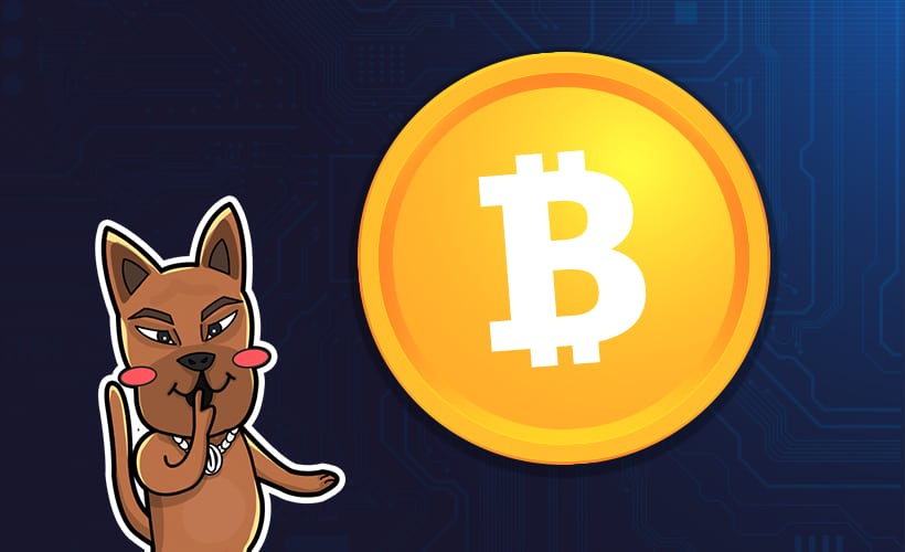 5 เหรียญคริปโตที่น่าลงทุนระยะยาว