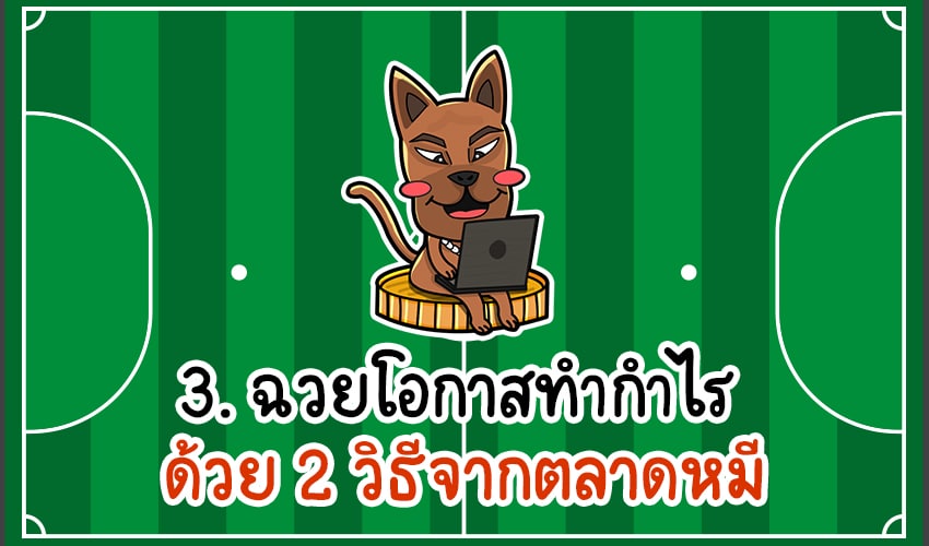 3 เคล็ดลับฉวยโอกาสเก็บกำไร ตลาดหมี