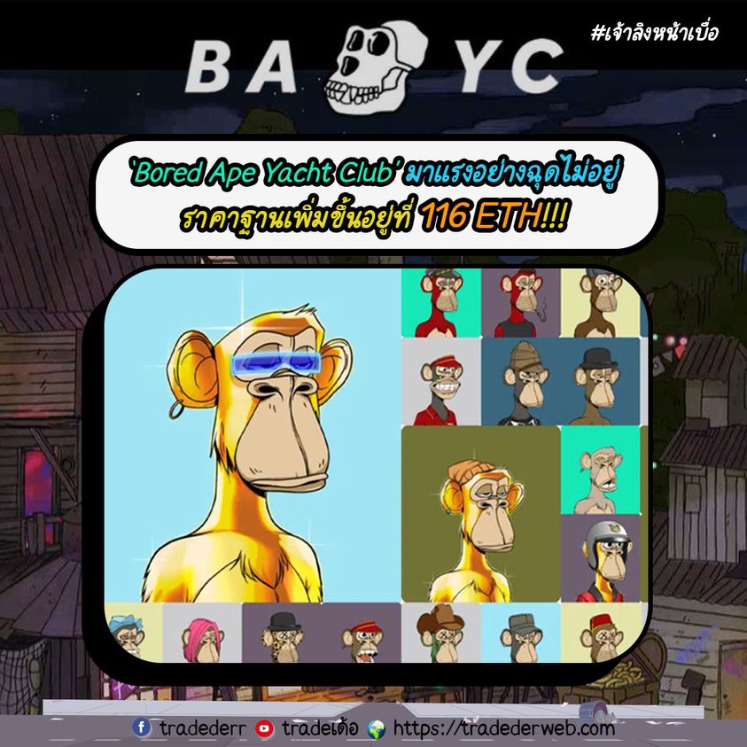 272999852_245888287726192_7026550881306597450_n