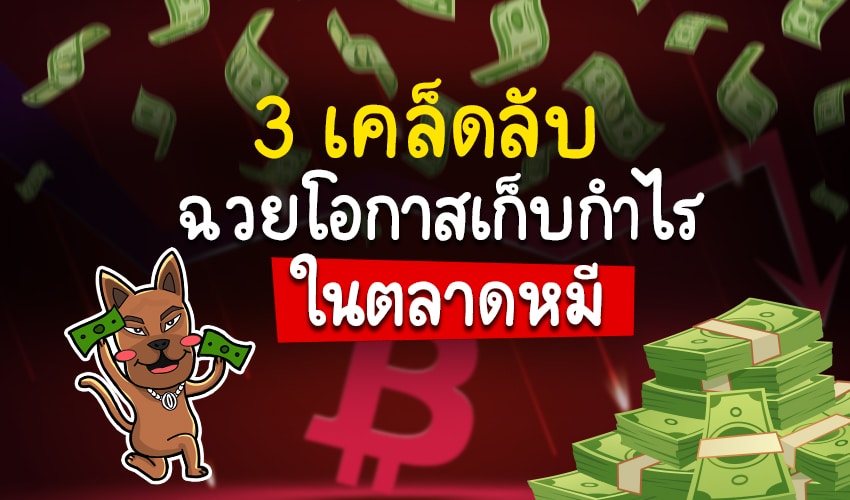 3 เคล็ดลับฉวยโอกาสเก็บกำไร3 เคล็ดลับ ฉวยโอกาส เก็บกำไรใน ตลาดหมี