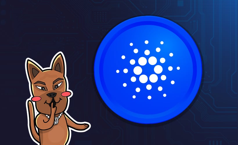 5 เหรียญคริปโตที่น่าลงทุนระยะยาว