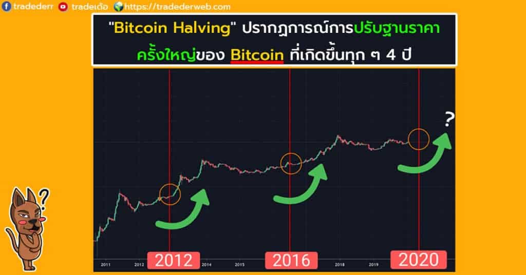 Bitcoin Halving ปรากฏการณ์ครั้งใหญ่ที่เกิดขึ้นทุก 4 ปี Bitcoin Halving