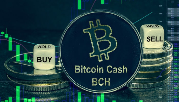 BitcoinCash BitcoinCash