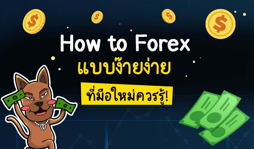 How-to-Trade-Forex-แบบง๊ายง่าย-ที่มือใหม่ควรรู้