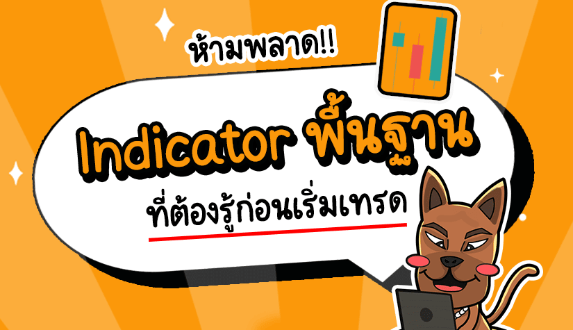 Indicator พื้นฐาน