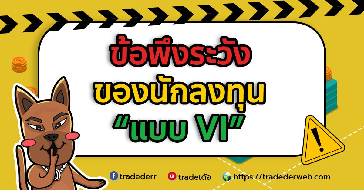 นักลงทุนแบบ VI