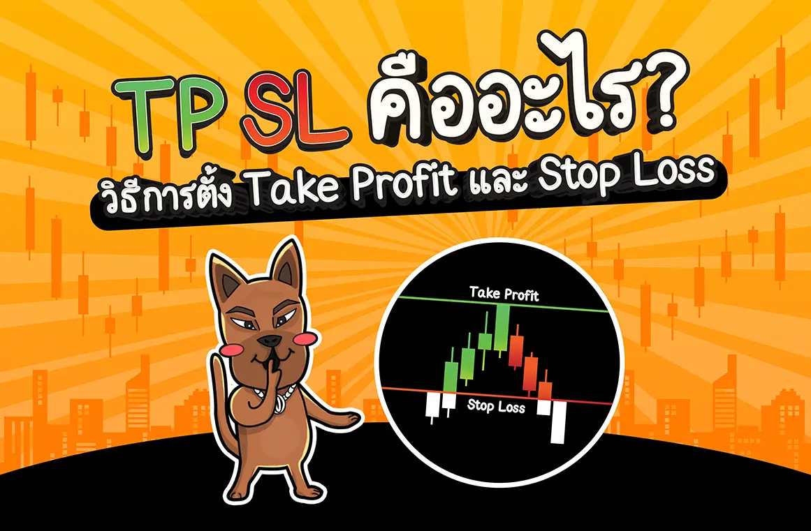TP SL คืออะไร? วิธีการตั้ง Take Profit และ Stop Loss