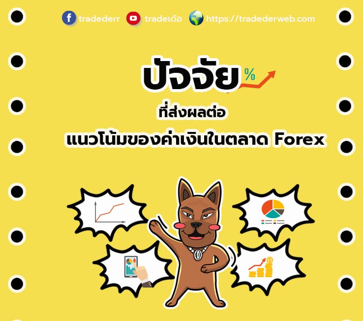 ตลาด Forex ตลาด Forex