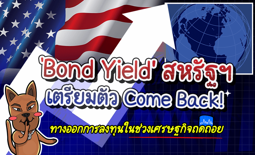 Bond Yield
