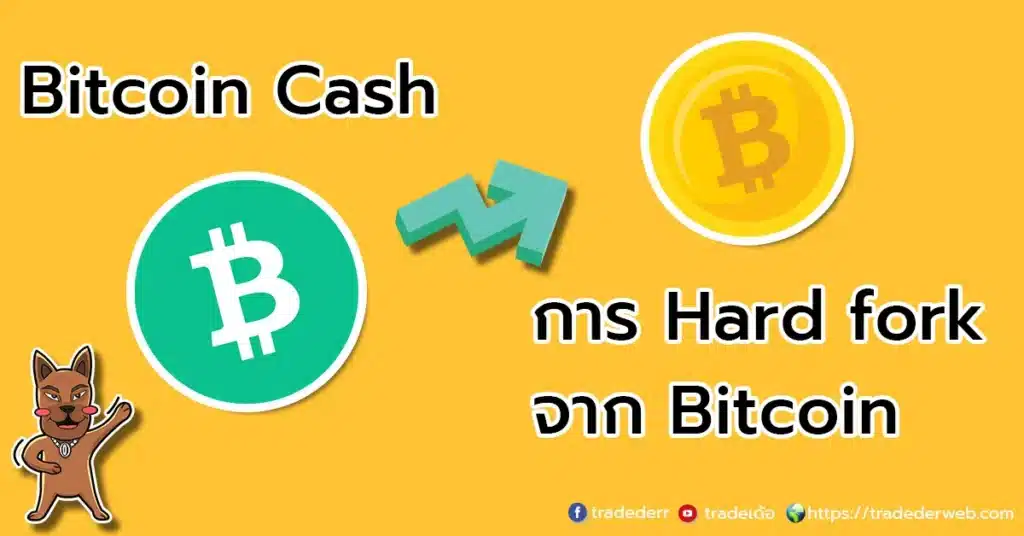 bitcoin cash bitcoin cash
