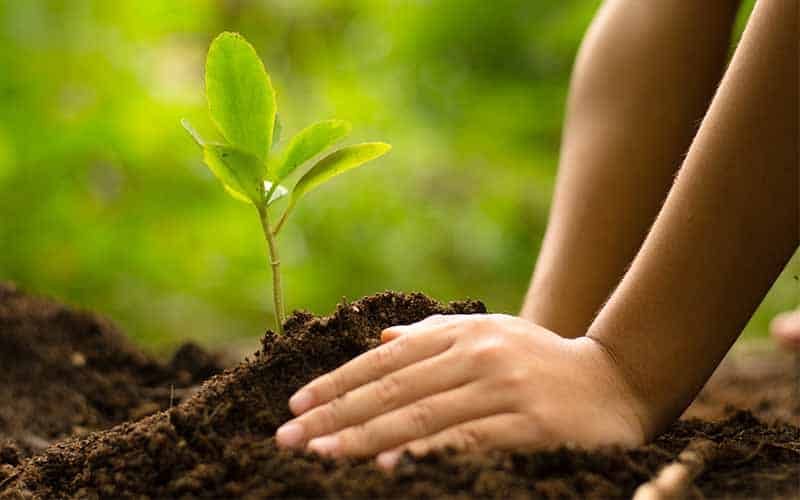 เทรนด์ เทรนด์