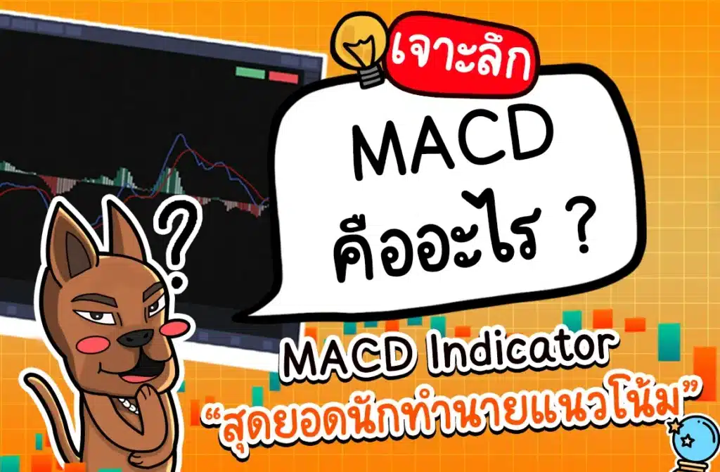 MACD Indicator คืออะไร
