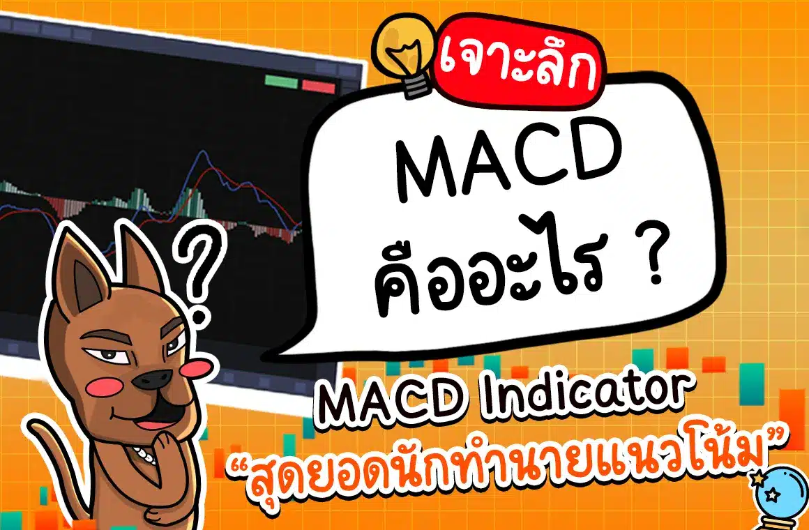 MACD Indicator คืออะไร