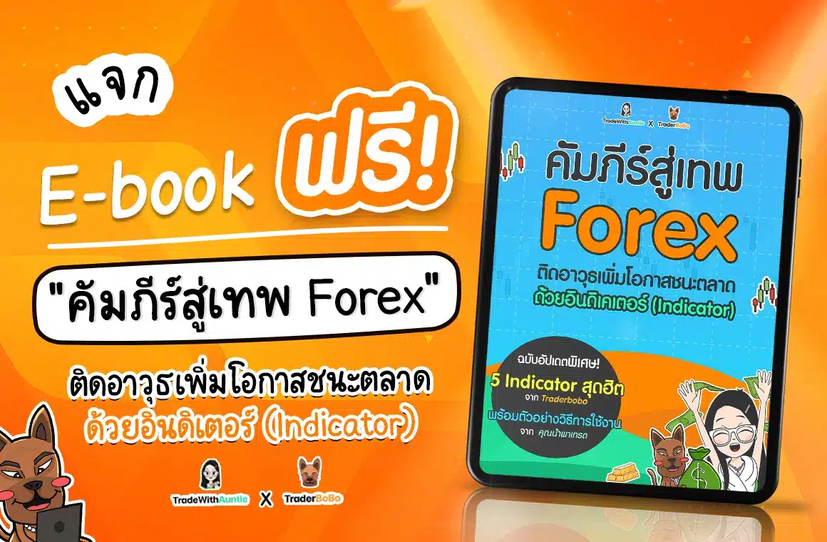 หนังสือ Forex PDF ฟรี! สอนใช้อินดิเคเตอร์ Forex ขั้นเทพ