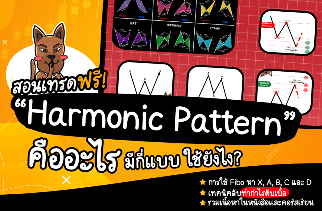 harmonic pattern คืออะไร harmonic pattern คืออะไร