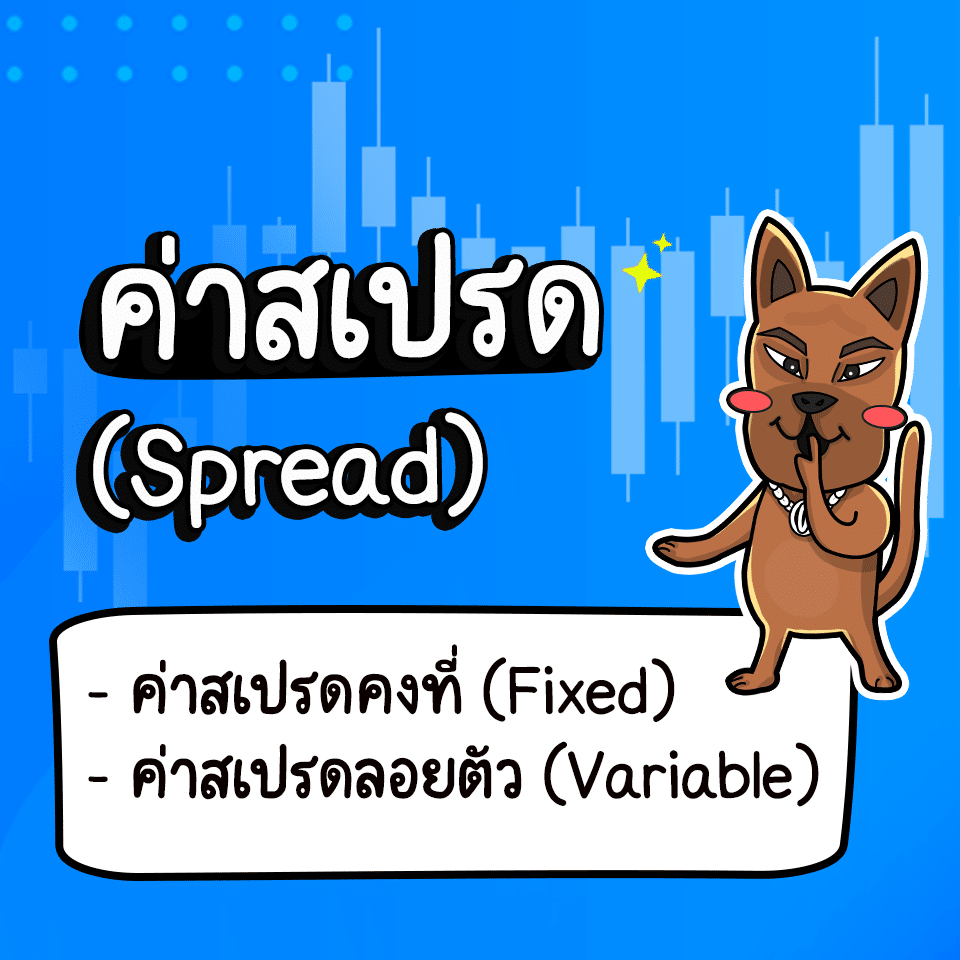 ค่า Spread คืออะไร มีอะไรบ้าง
