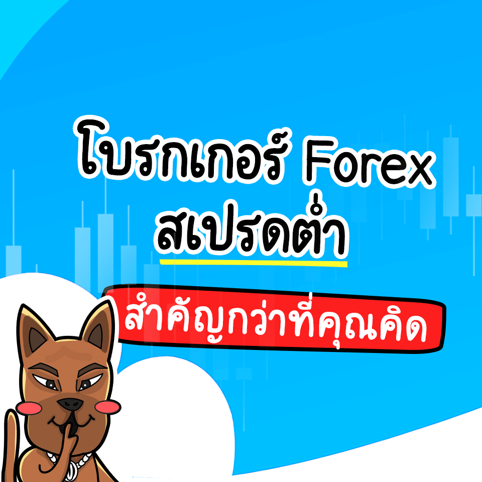 โบรกเกอร์สเปรดต่ำสำคัญกว่าที่คิด