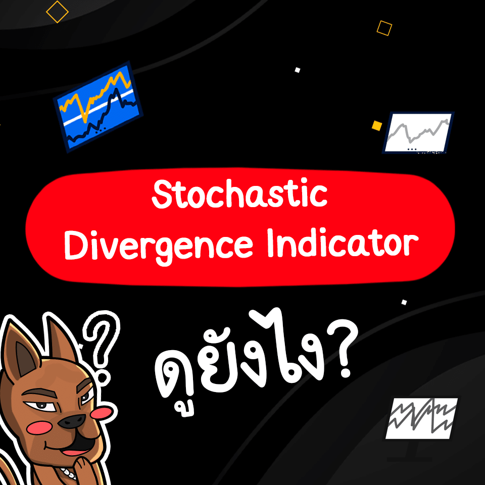 Stochastic Divergence Indicator ดูยังไง Stochastic Divergence Indicator ดูยังไง