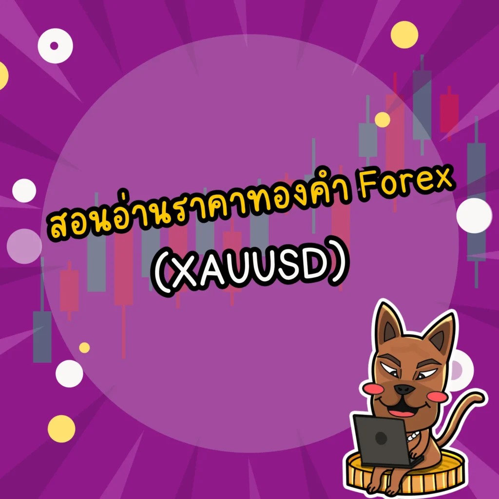 สอนอ่านราคาทอง Forex (XAUUSD)