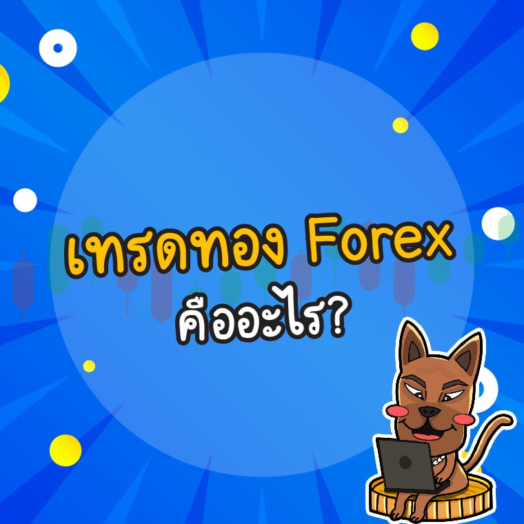 เทรดทอง Forex คือ เทรดทอง Forex คือ