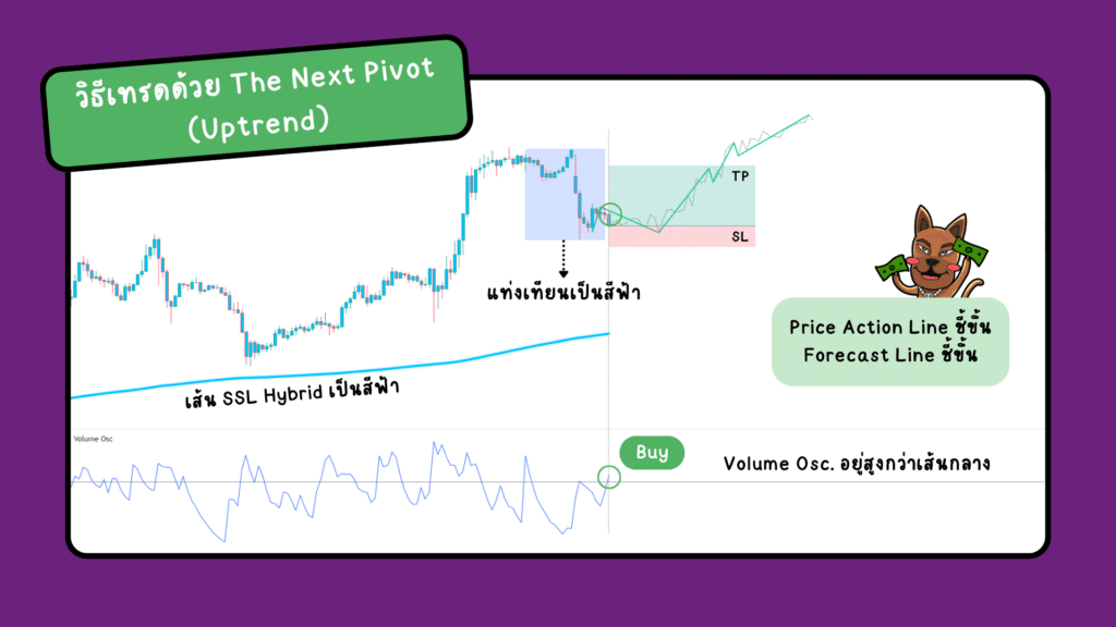 วิธียืนยันสัญญาณในแนวโน้มขาลง the next pivot วิธีเทรดด้วยอินดิเคเตอร์ The Next Pivot (Uptrend)