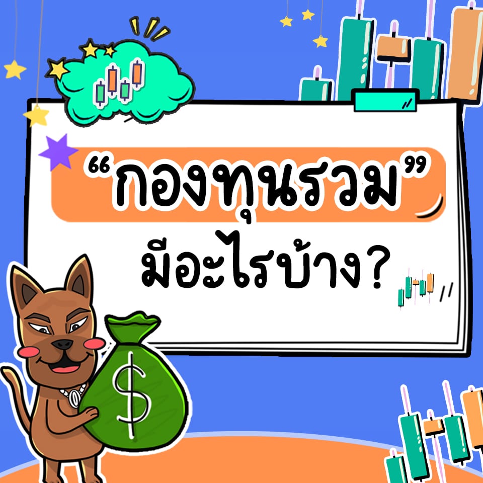 ประเภทกองทุนรวม ผลตอบแทนสูง มีอะไรบ้าง ประเภทกองทุนรวม ผลตอบแทนสูง มีอะไรบ้าง