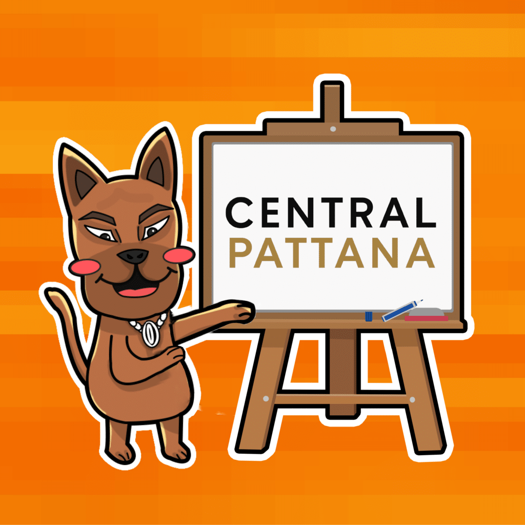 หุ้น CPN หุ้นน่าลงทุนระยะสั้น 2567 หุ้น CPN หุ้นน่าลงทุนระยะสั้น 2567