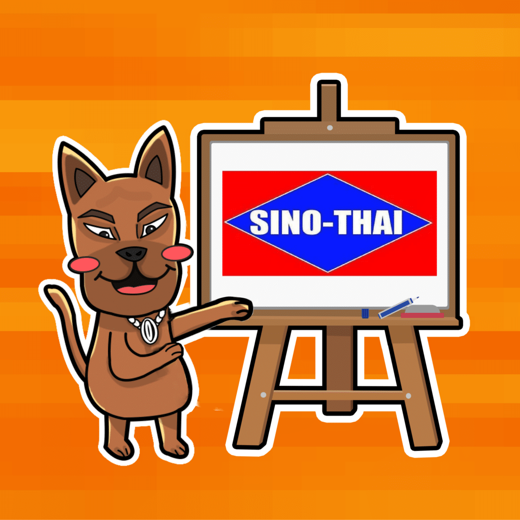 หุ้น STEC หุ้นน่าลงทุนระยะสั้น 2567 หุ้น STEC หุ้นน่าลงทุนระยะสั้น 2567