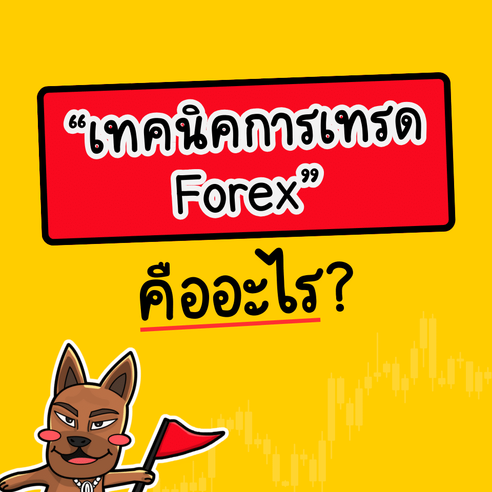 เทคนิคการเทรด Forex คือ เทคนิคการเทรด Forex คือ