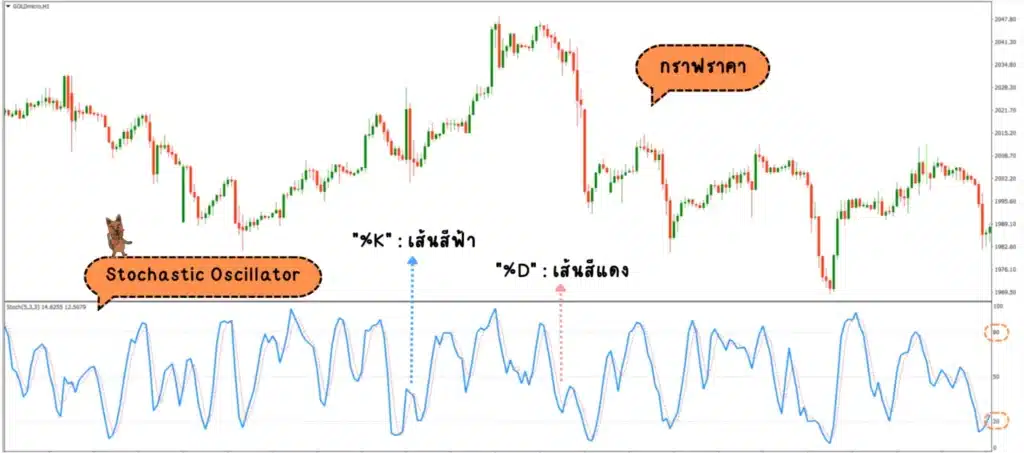 ส่วนประกอบของ Stochastic Oscillator Indicator ส่วนประกอบของ Stochastic Oscillator Indicator