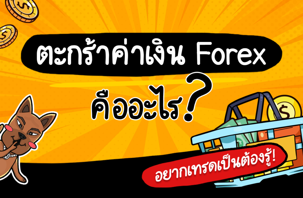 Currency Basket ตะกร้าค่าเงิน Forex