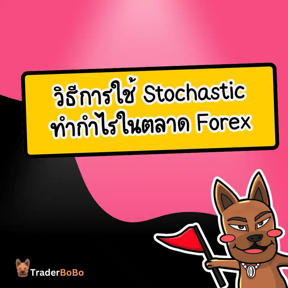 วิธีการใช้ Stochastic ทำกำไรในตลาด Forex วิธีการใช้ Stochastic ทำกำไรในตลาด Forex