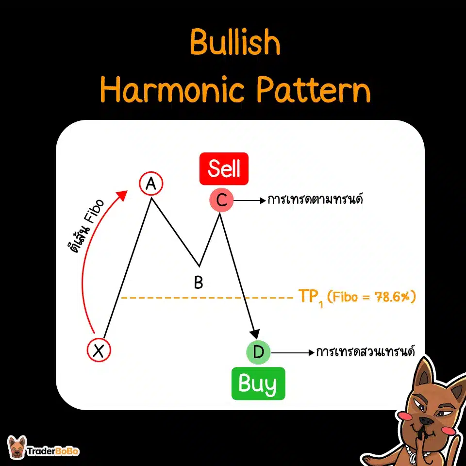 การทำกำไรด้วย Bullish Harmonic Pattern (ตัว M) การทำกำไรด้วย Bullish Harmonic Pattern (ตัว M)