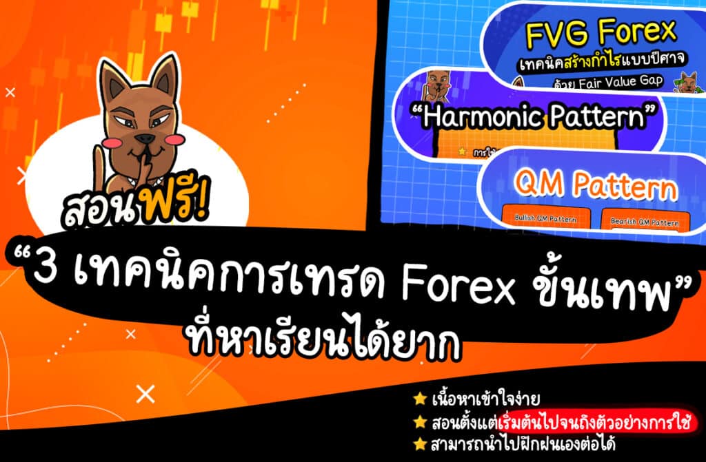 forex trading techniques เทคนิคการเทรด Forex