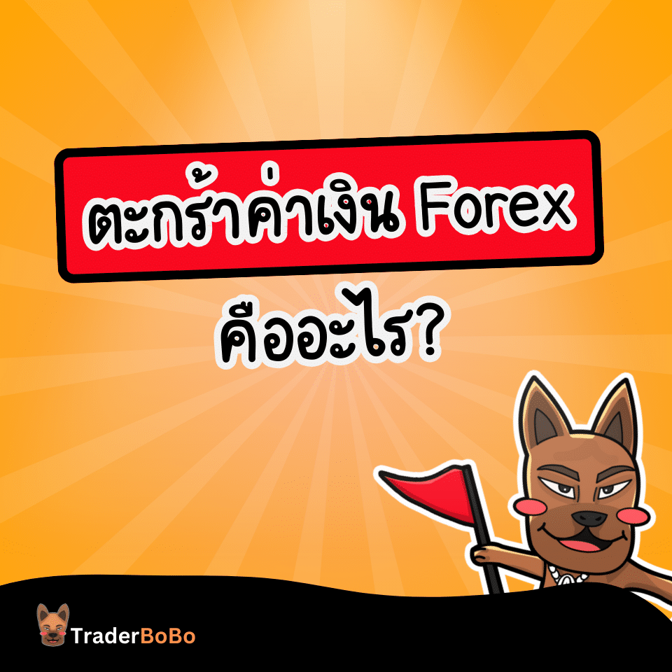 ตะกร้าค่าเงิน Forex คืออะไร ตะกร้าค่าเงิน Forex คืออะไร