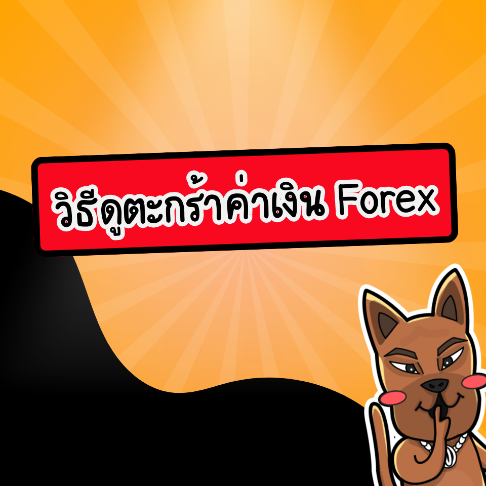 วิธีดูตะกร้าค่าเงิน Forex วิธีดูตะกร้าค่าเงิน Forex