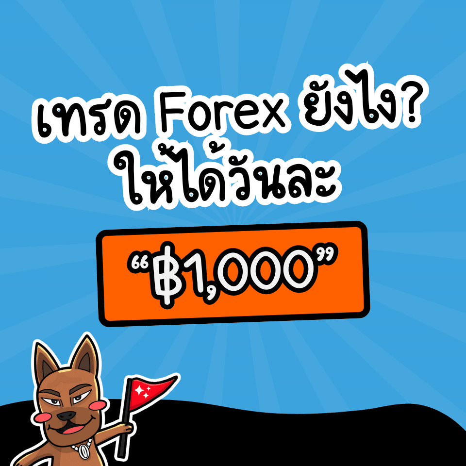 แผนการเทรด Forex ให้ได้วันละ 1000 บาท แผนการเทรด Forex ให้ได้วันละ 1000 บาท
