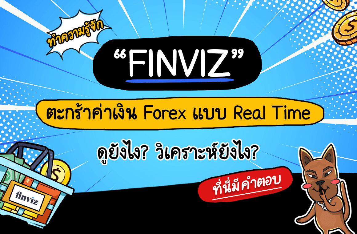 ทำความรู้จัก finviz คืออะไร