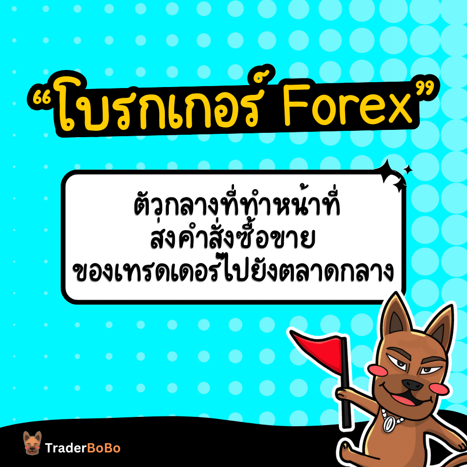 โบรกเกอร์เทรด Forex คืออะไร โบรกเกอร์เทรด Forex คืออะไร