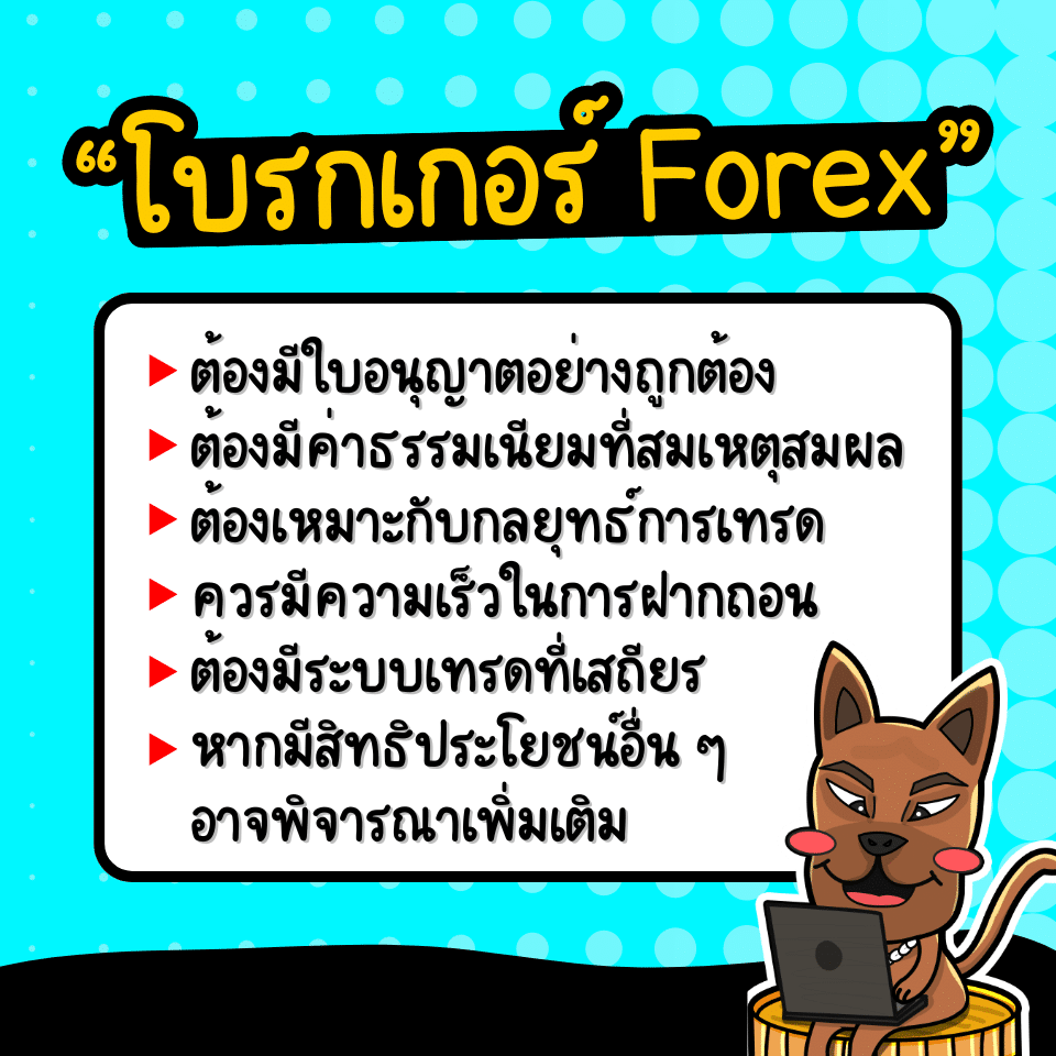 เทรด Forex โบรกไหนดีเลือกยังไง เทรด Forex โบรกไหนดี ปี 2025 เลือกยังไง