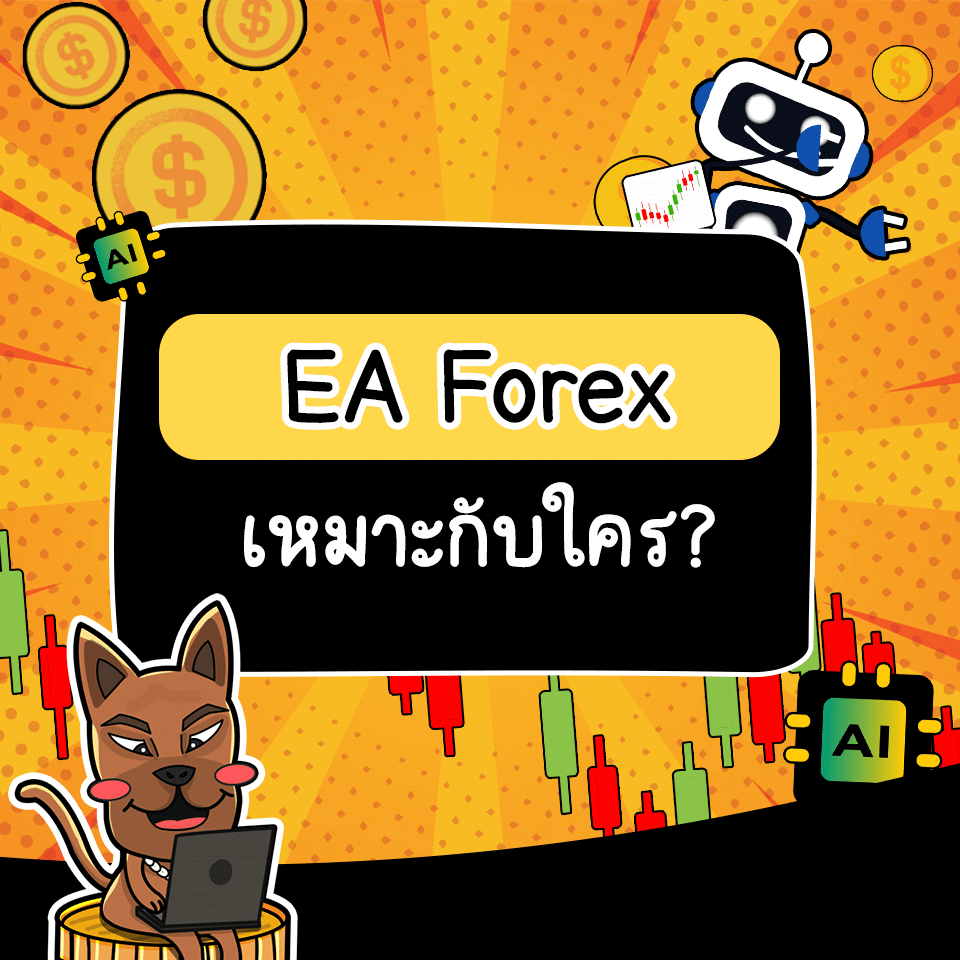 EA Forex เหมาะกับใคร EA Forex เหมาะกับใคร