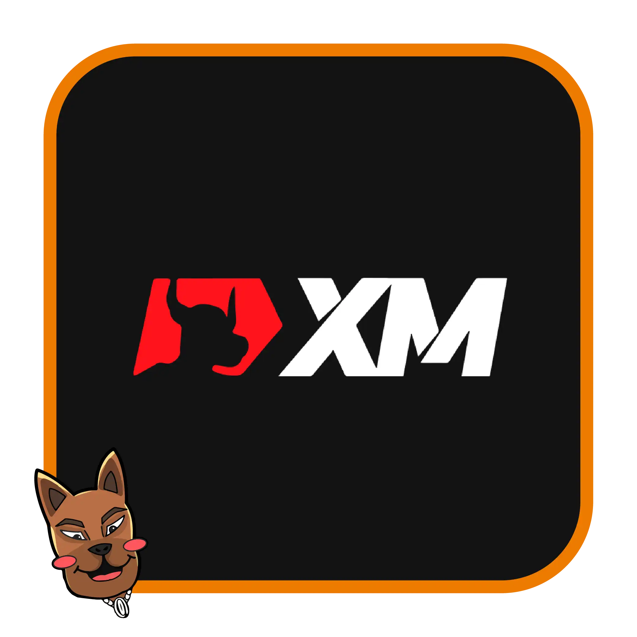 XM โบรกเกอร์ที่ดีที่สุด 2025 XM โบรกเกอร์ที่ดีที่สุด 2025